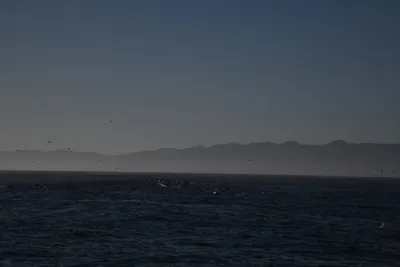 DSC_6644 (Large).JPG